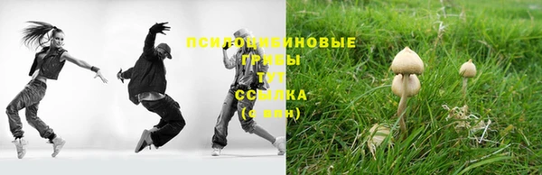 молекула духа Алексеевка